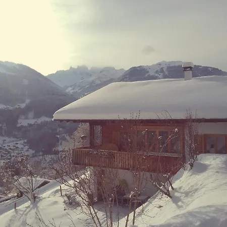 Апартаменты Haus Netzer Бартоломеберг