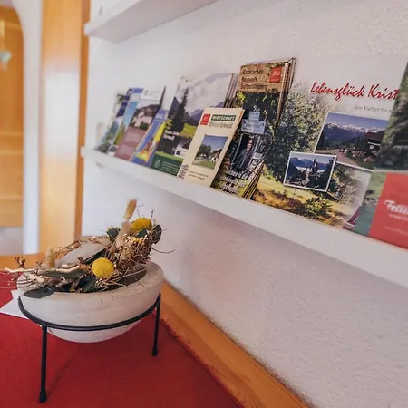 Haus Netzer Апартаменты *