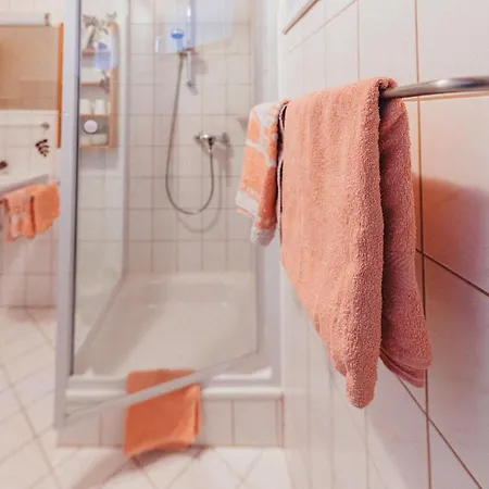 Апартаменты Haus Netzer *