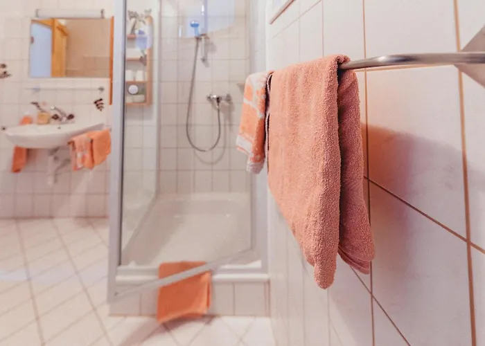 Apartment Haus Netzer *